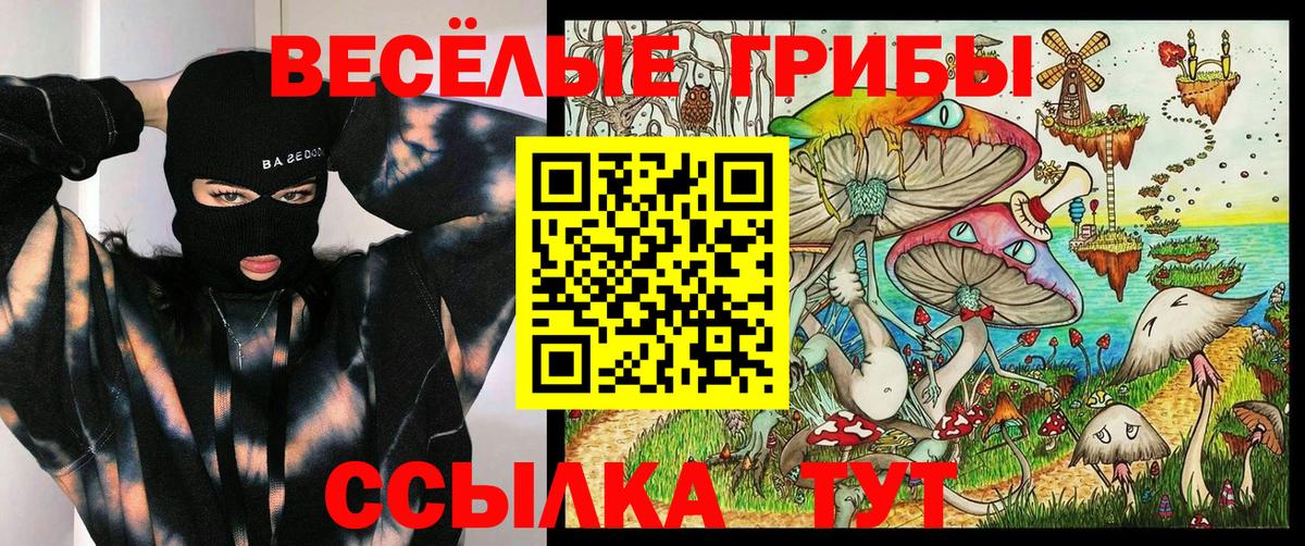 магазин    Вход с VPN  Белгород  Галлюциногенные грибы Psilocybe 