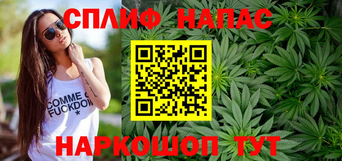 Марихуана сатива Белгород
