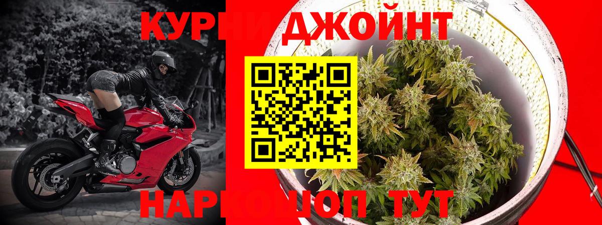 Канабис план  Бошки Шишки THC 21%  Вход с VPN  Шишки марихуана AK-47  Белгород  Каннабис ГИДРОПОН 
